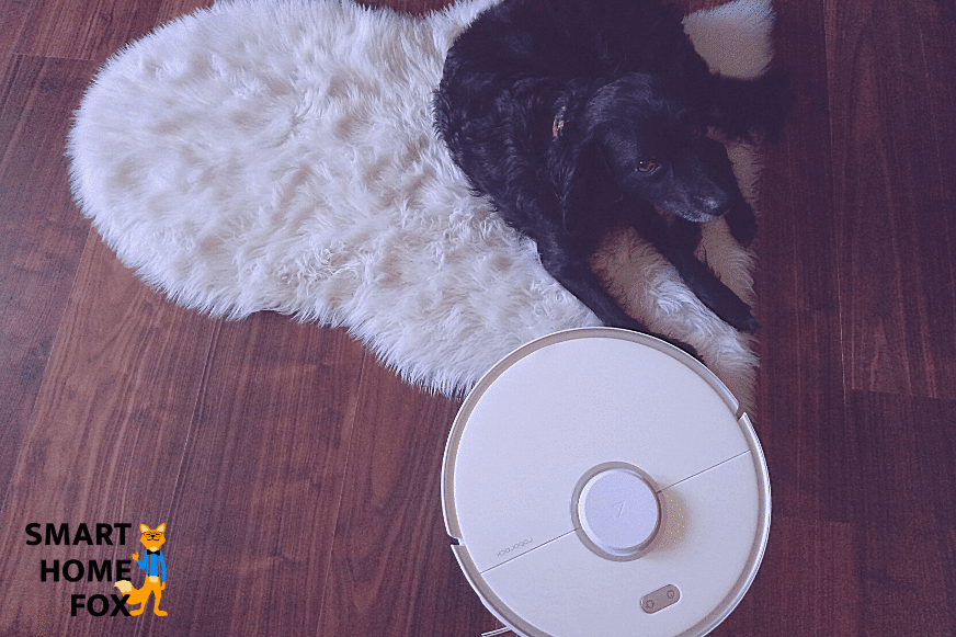 Hund liegt neben dem Saugroboter.